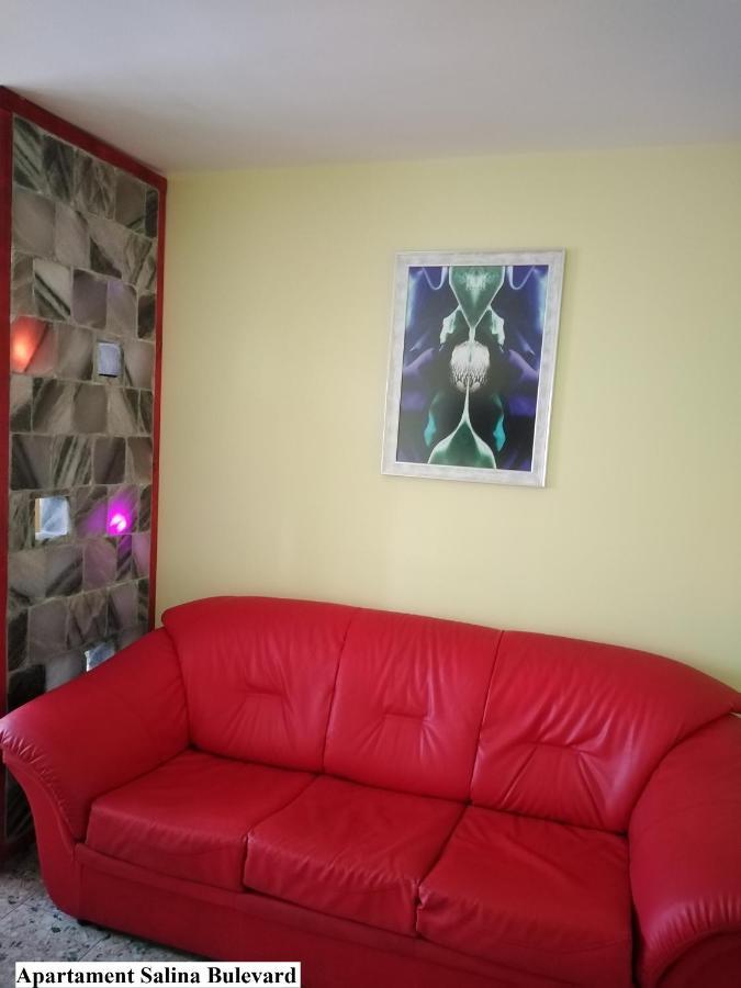 Apartament Salina Bulevard Άλμπα Ιούλια Εξωτερικό φωτογραφία