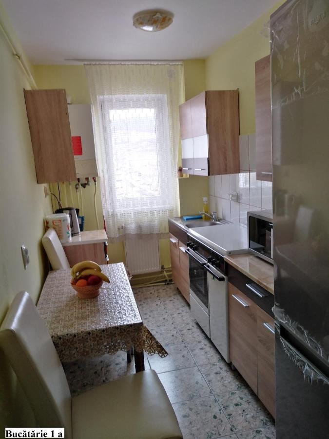 Apartament Salina Bulevard Άλμπα Ιούλια Εξωτερικό φωτογραφία