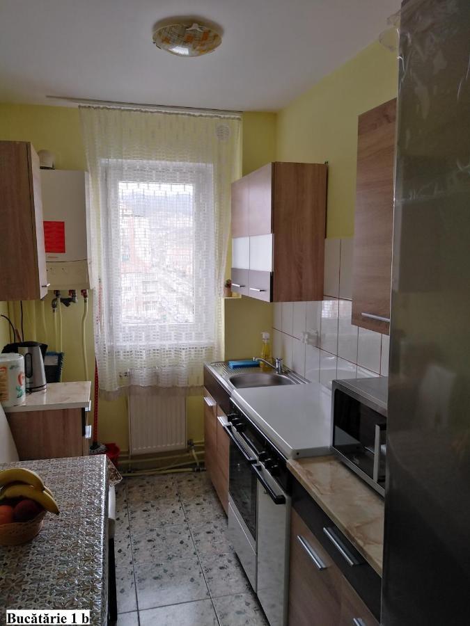 Apartament Salina Bulevard Άλμπα Ιούλια Εξωτερικό φωτογραφία