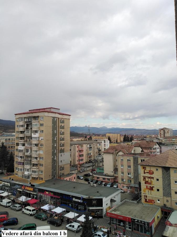 Apartament Salina Bulevard Άλμπα Ιούλια Εξωτερικό φωτογραφία
